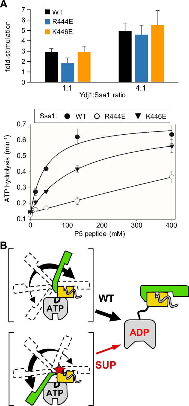 Fig 7