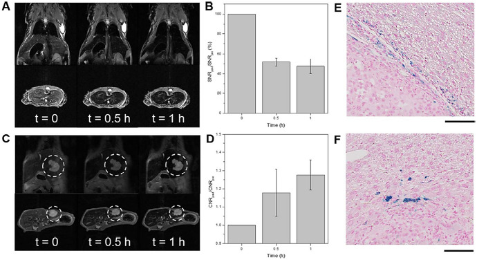 Fig. 9