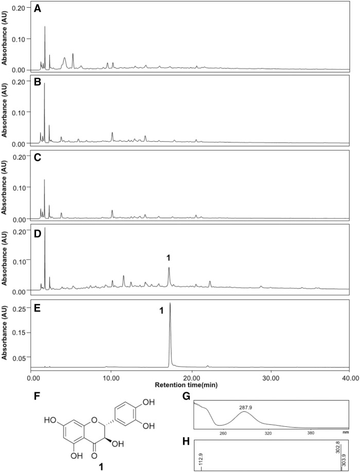 FIGURE 4