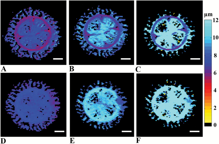 Fig. 4.