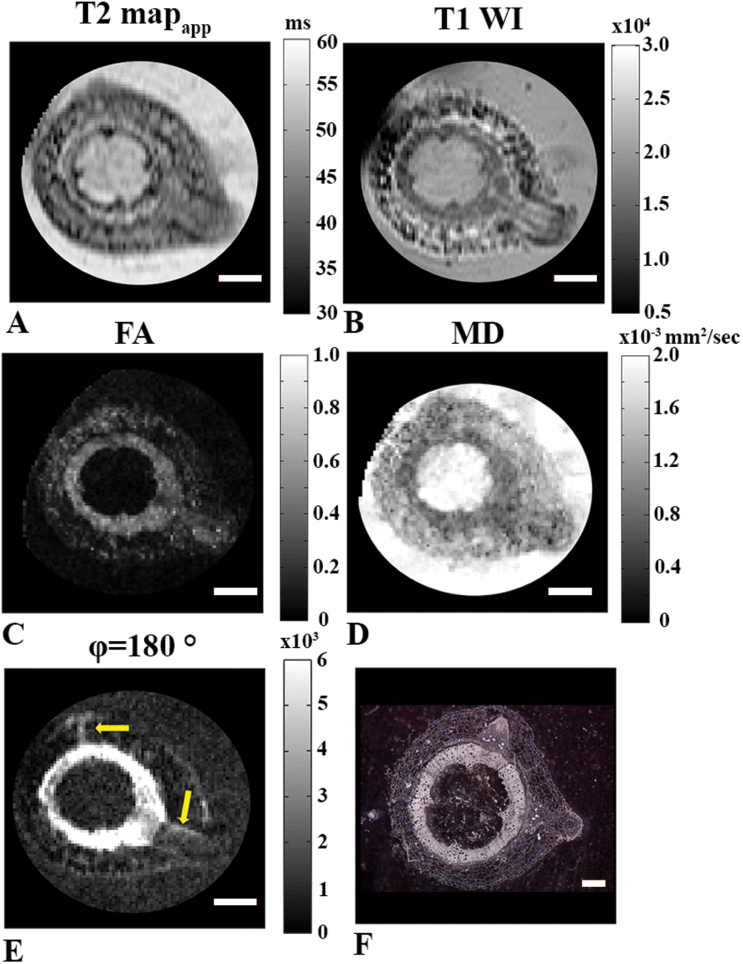 Fig. 6.