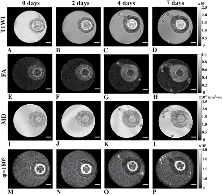 Fig. 7.