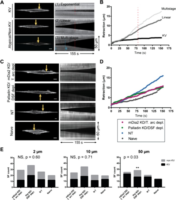 FIGURE 6: