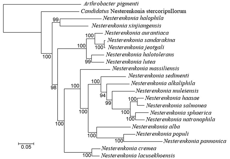 Fig. 4