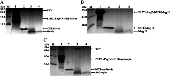FIG 9