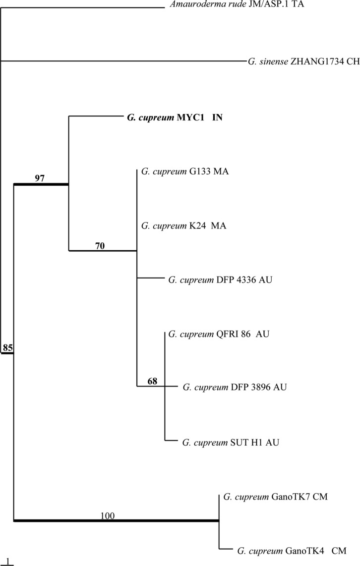 Fig. 1