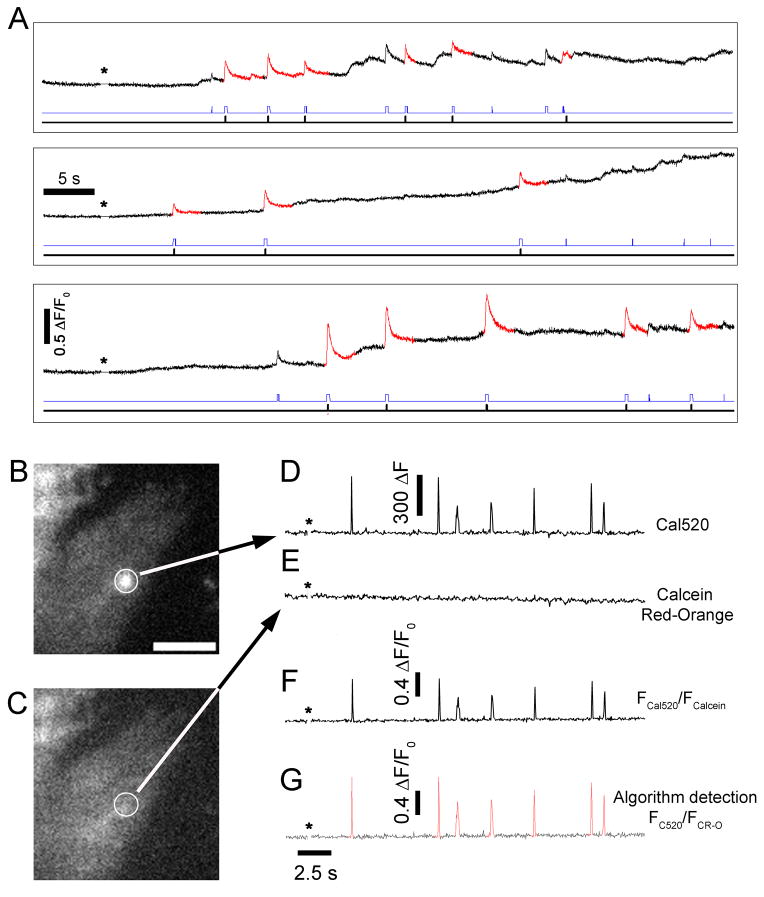 Fig. 6