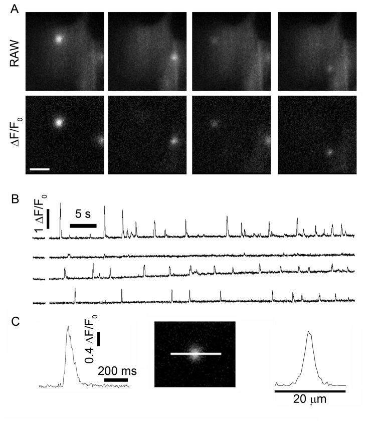 Fig. 1