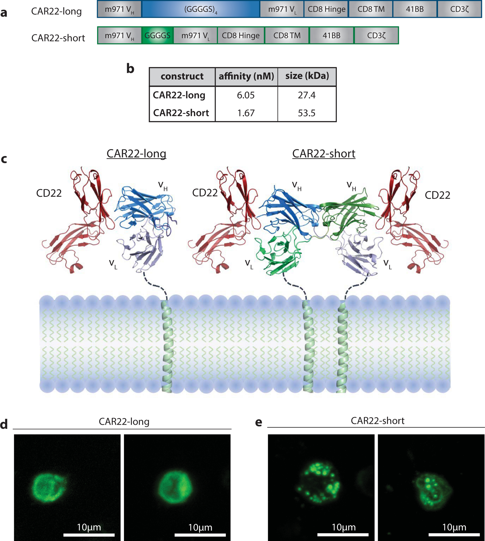 Figure 2 |