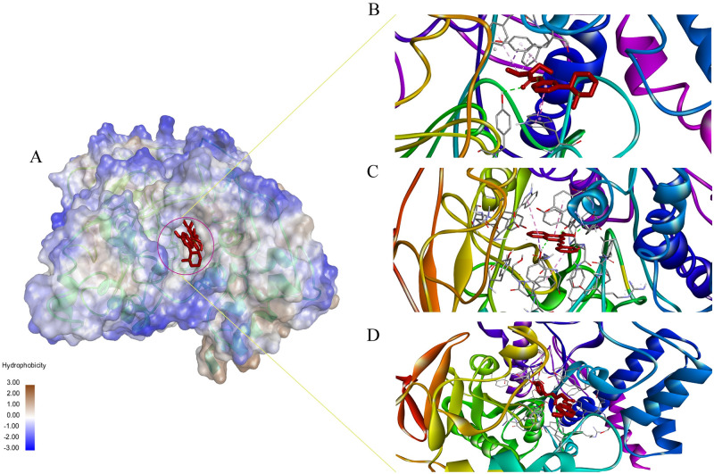 Fig 3