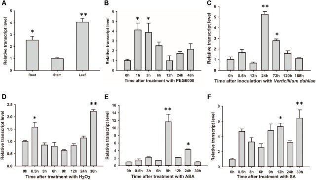 FIGURE 3