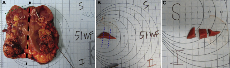 Figure 1