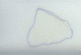 Figure 7