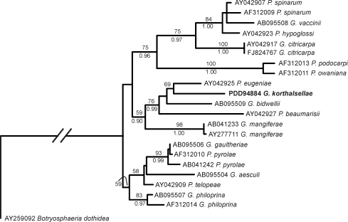 Fig. 1.