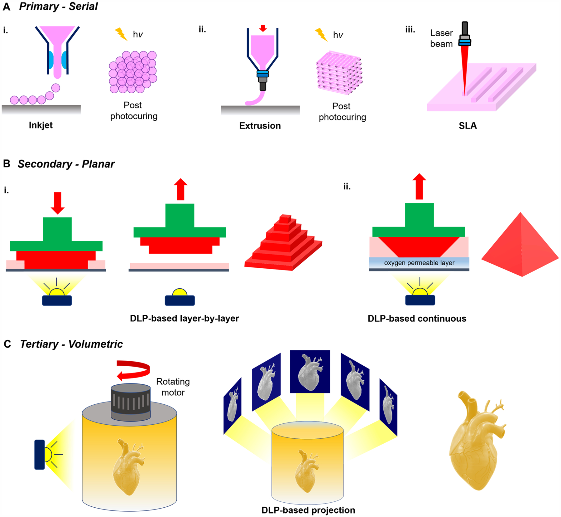 Figure 20.