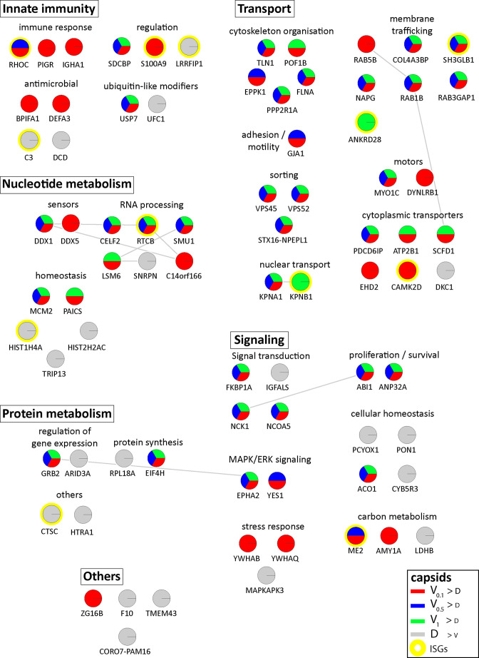 Figure 3—figure supplement 1.