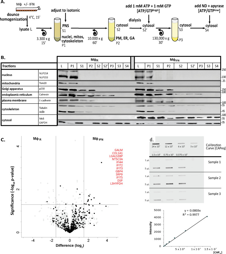 Figure 2—figure supplement 2.