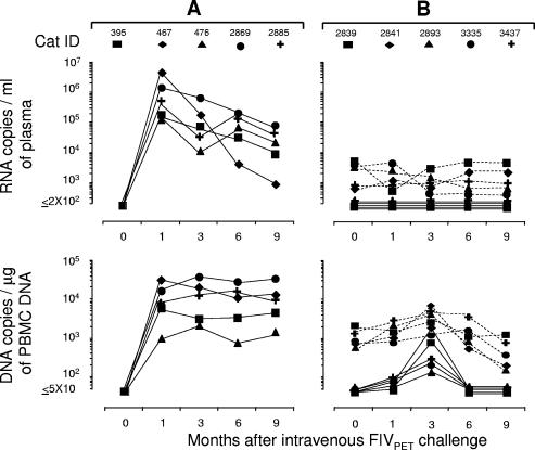 FIG. 6.