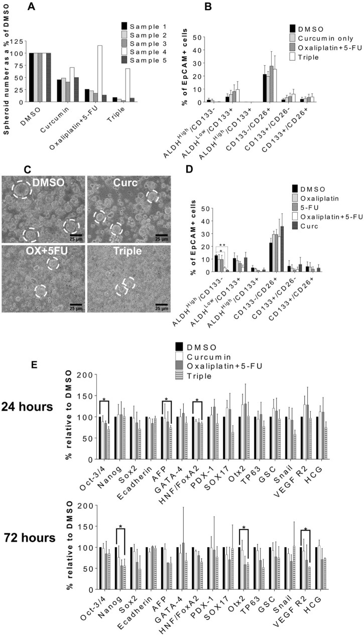 Fig. 1