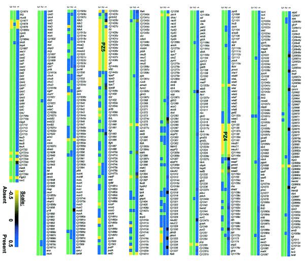 FIG. 1.