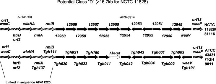 FIG. 3.