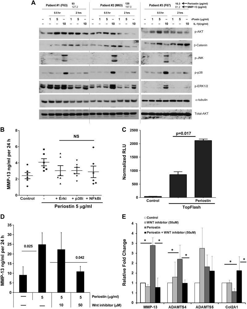 Figure 11.