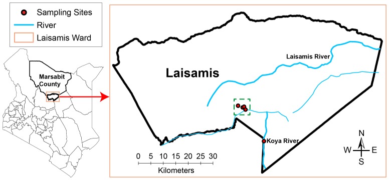 Figure 1. 