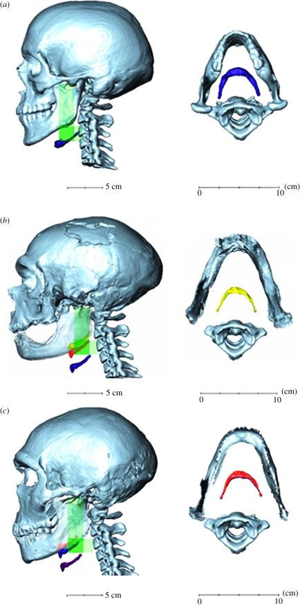 Figure 3.