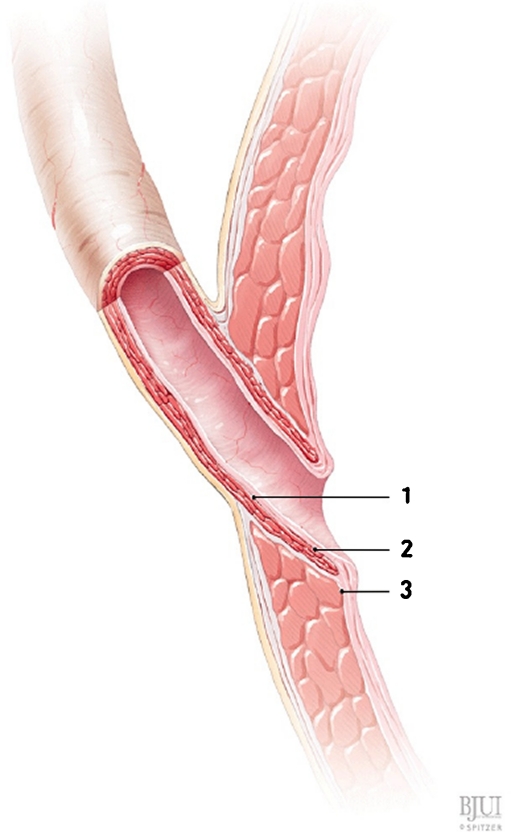 Fig. 4