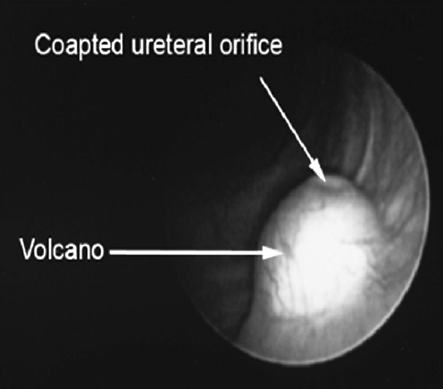 Fig. 5