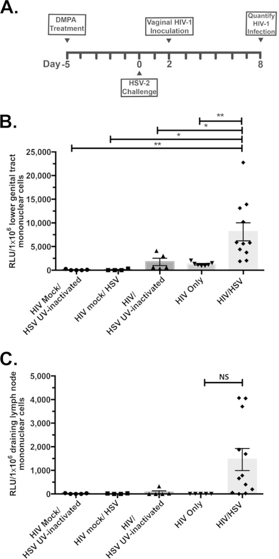 FIG 2