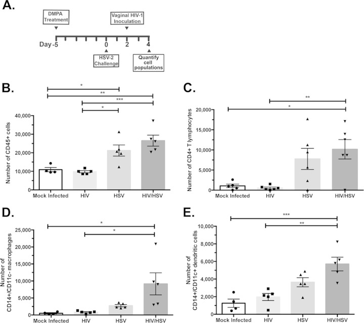 FIG 3