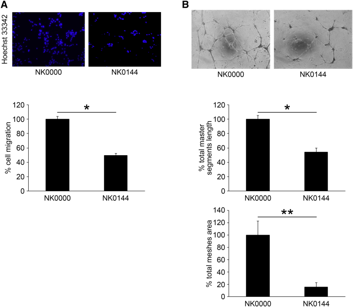 Figure 6