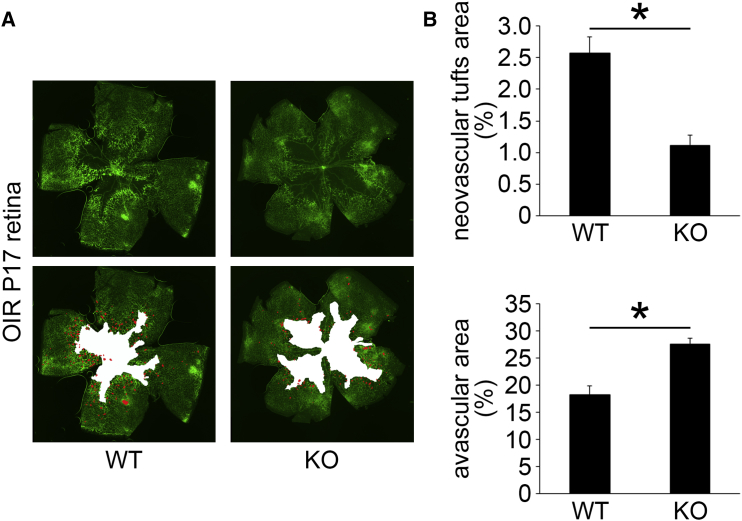 Figure 2