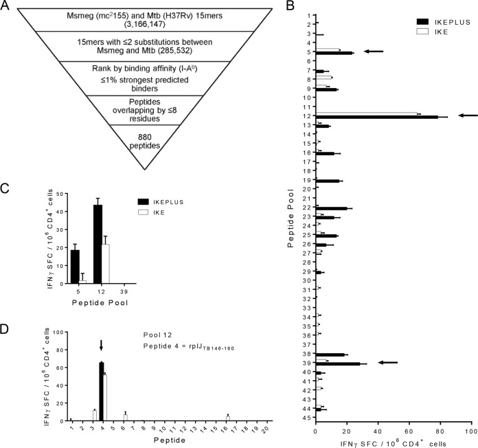 FIG 1