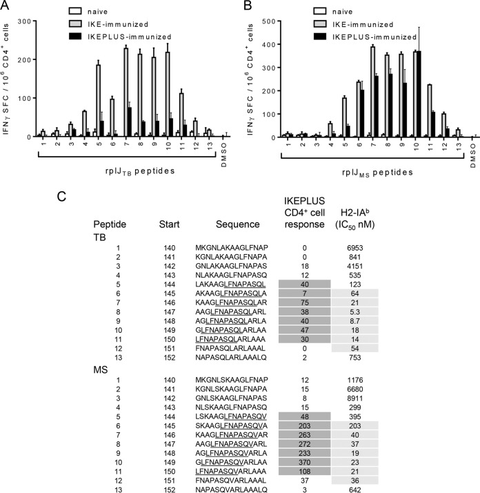 FIG 3