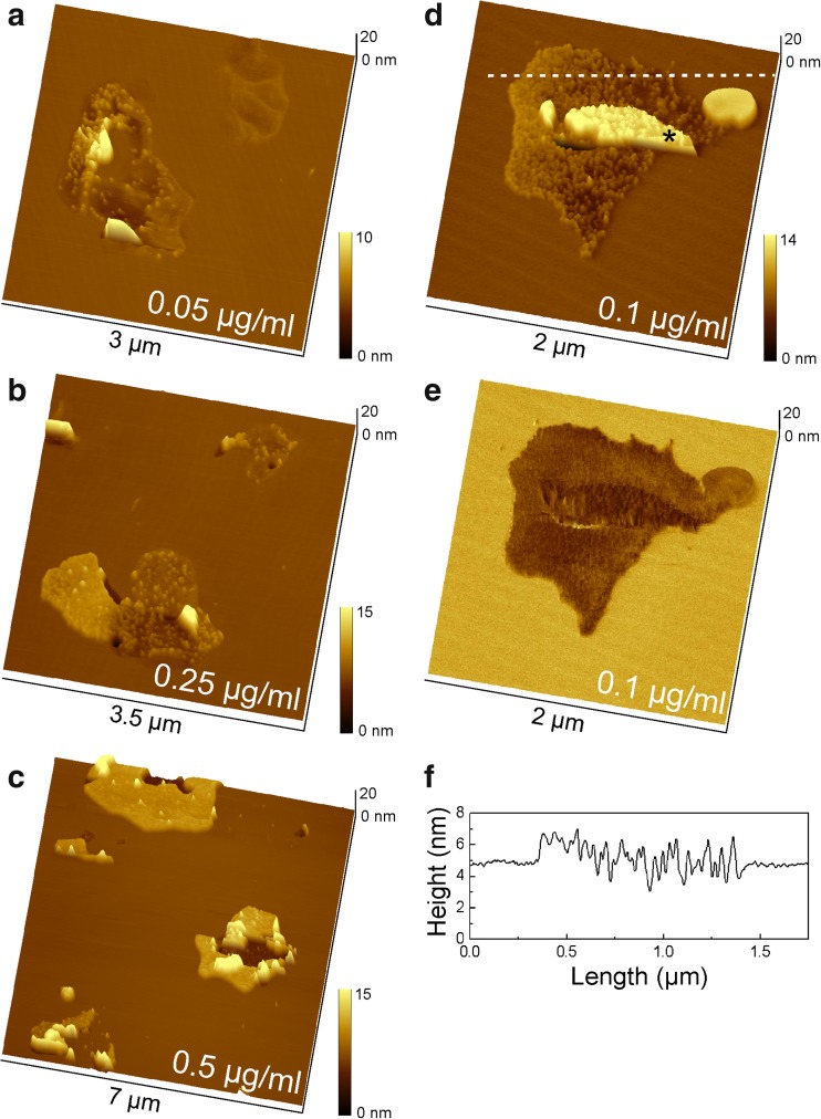 Fig. 2