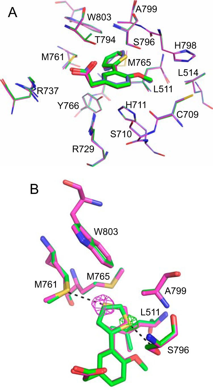 FIGURE 4.