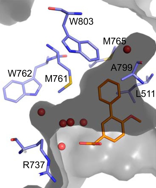 FIGURE 5.