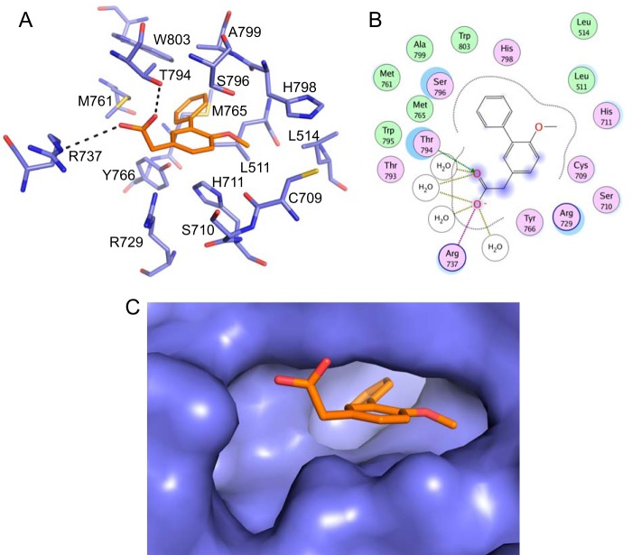 FIGURE 2.