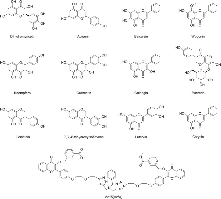 FIGURE 2