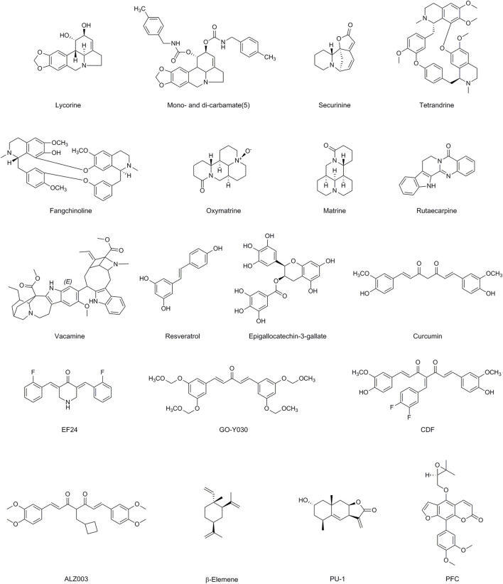 FIGURE 3