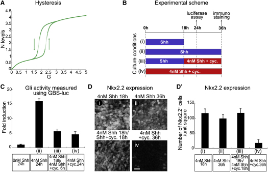 Figure 6