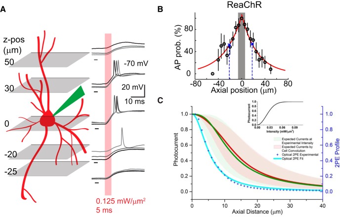 Figure 5.