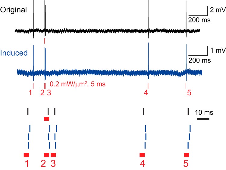 Figure 4.