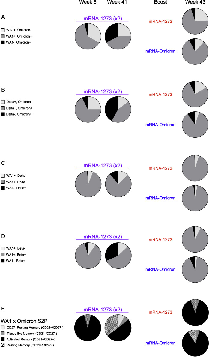 Figure 4