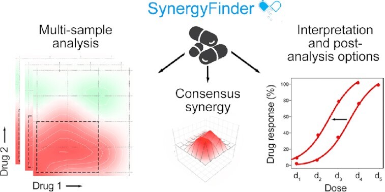 Graphical Abstract