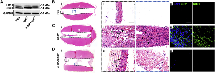 Figure 7