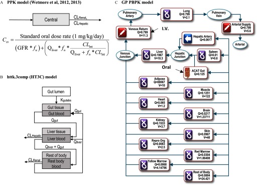 Figure 1A is a conceptual diagram of a PPK model. Equation below the diagram is as follows: C sub ss equals start fraction standard oral dose rate open parenthesis 1 milligrams per kilogram per day close parenthesis over open parenthesis GFR times f sub u close parenthesis plus open parenthesis Q sub liver times f sub u times start fraction CL sub int over Q sub liver plus f sub u times CL sub int end fraction close parenthesis end fraction. Figure 1B is a flowchart of HT3C model. Figure 1C is a conceptual diagram of the PBPK model consisting of 14 tissue compartments.