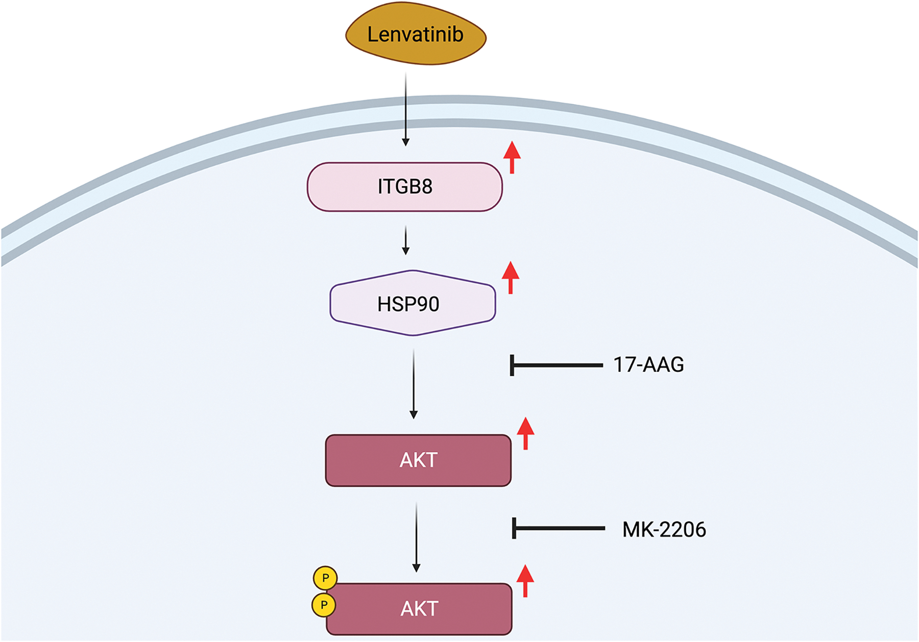 Figure 5.